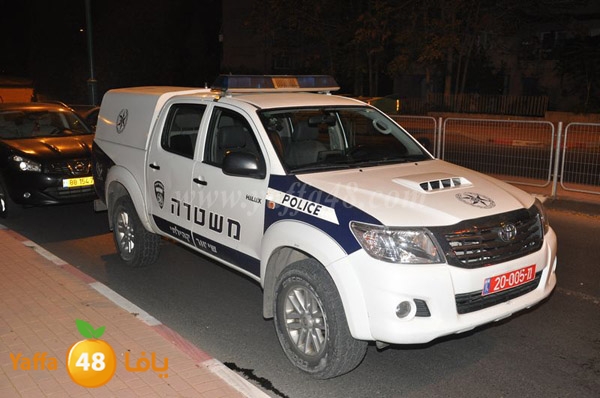 acc 7eshmona2em palmtree (18).JPG